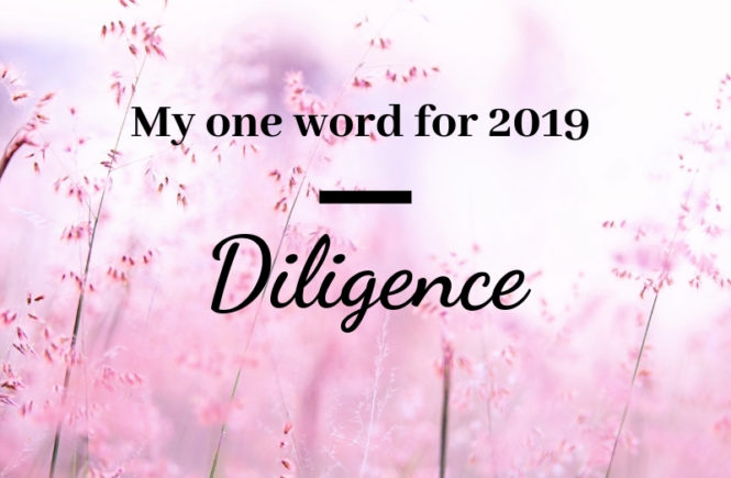 my one word for 2019 is diligence
