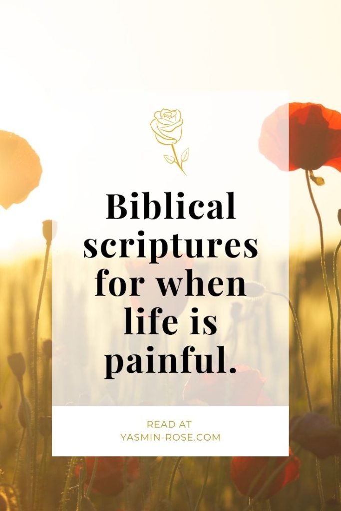 biblical scriptures for when life is painful