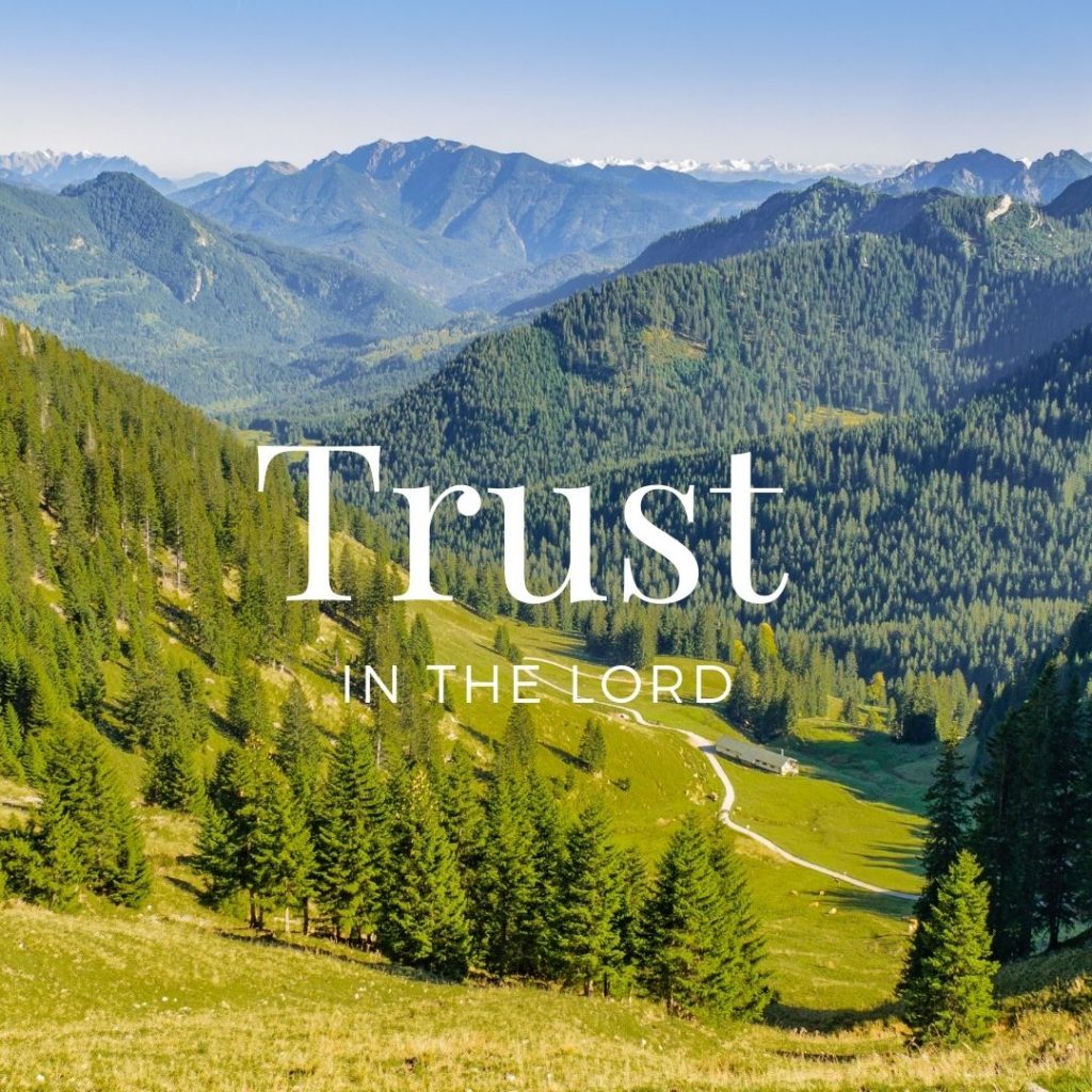 5 book recommendations to trust in the lord
