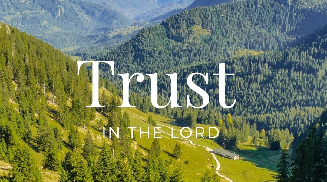 5 book recommendations to trust in the lord